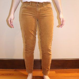 Quality Corduroy Pants, Autumn Orange